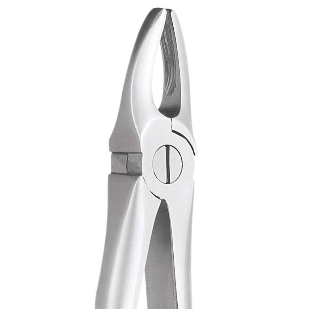 L1-001 1 Upper Anteriors - Image 1