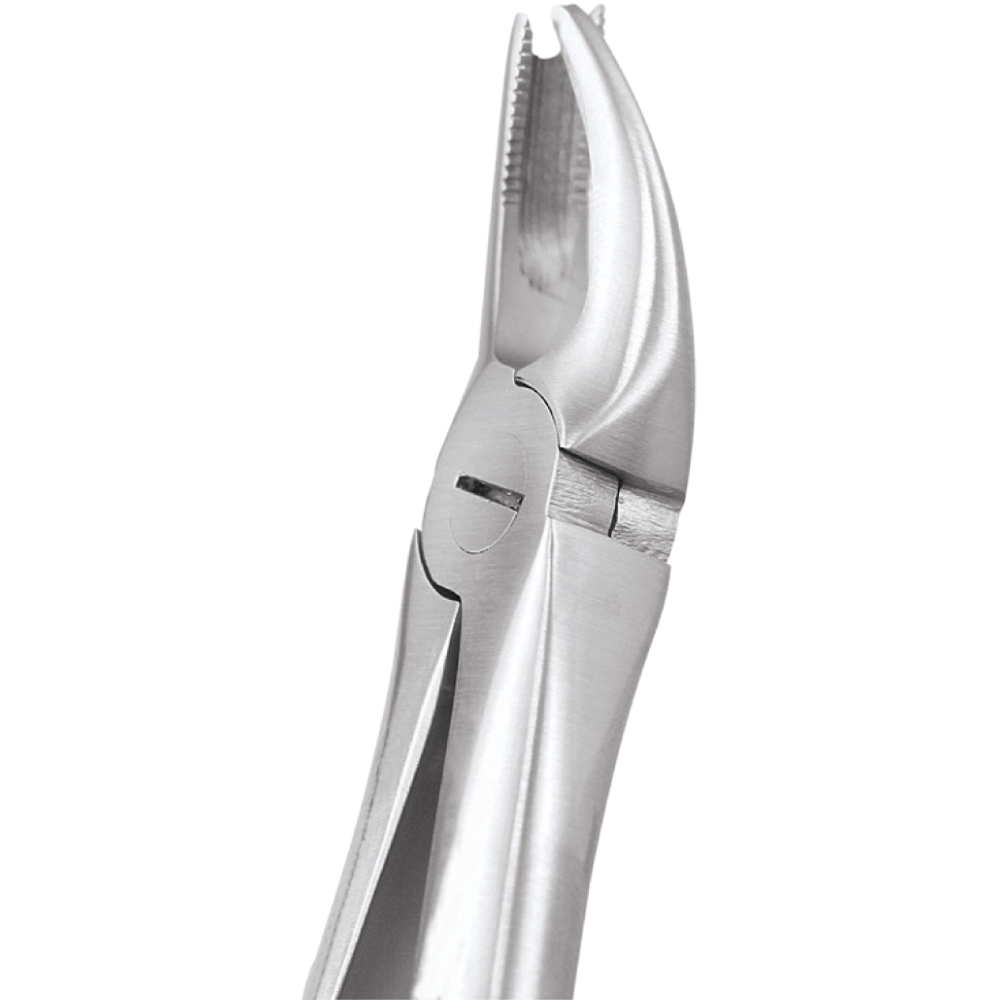 L1-017 90 Upper Molars Left - Image 1