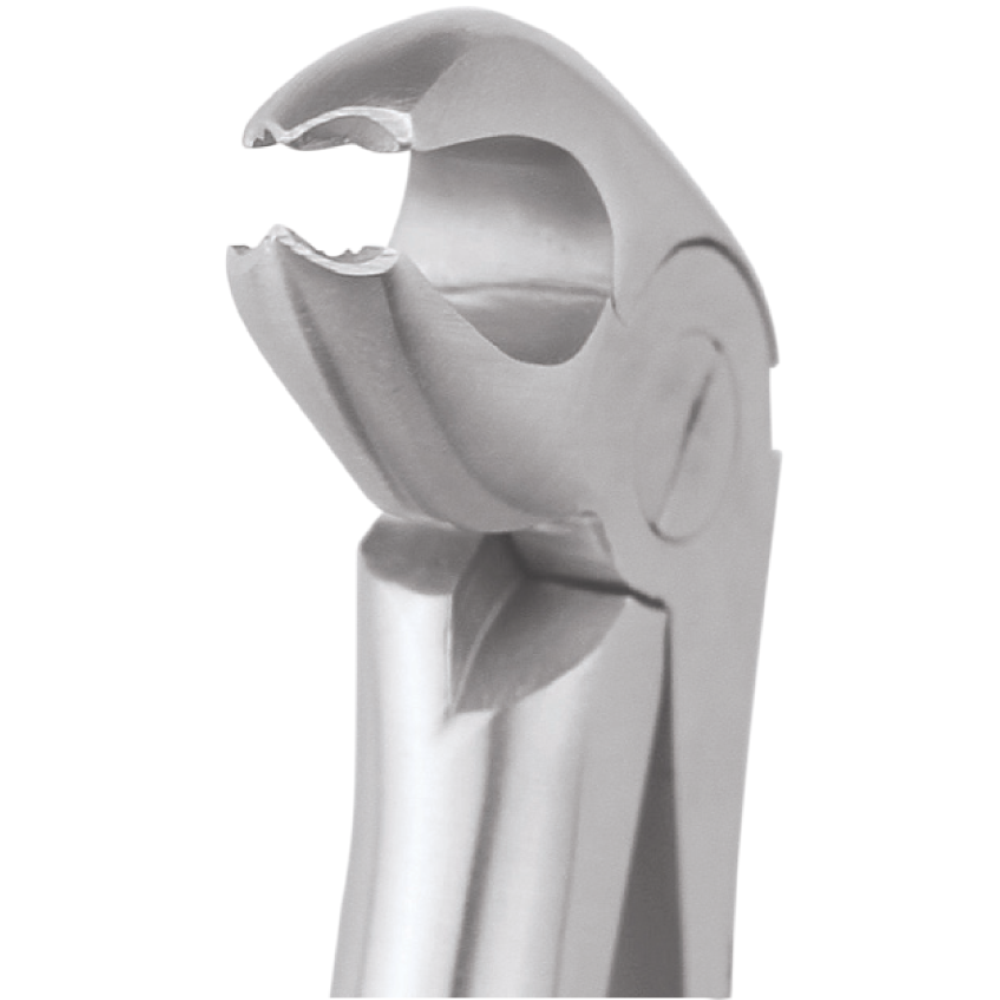 L1-020 22 Lower Molars - Image 1