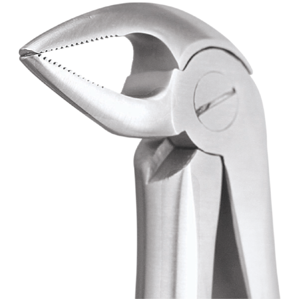 L1-022 33A Lower Roots - Image 1