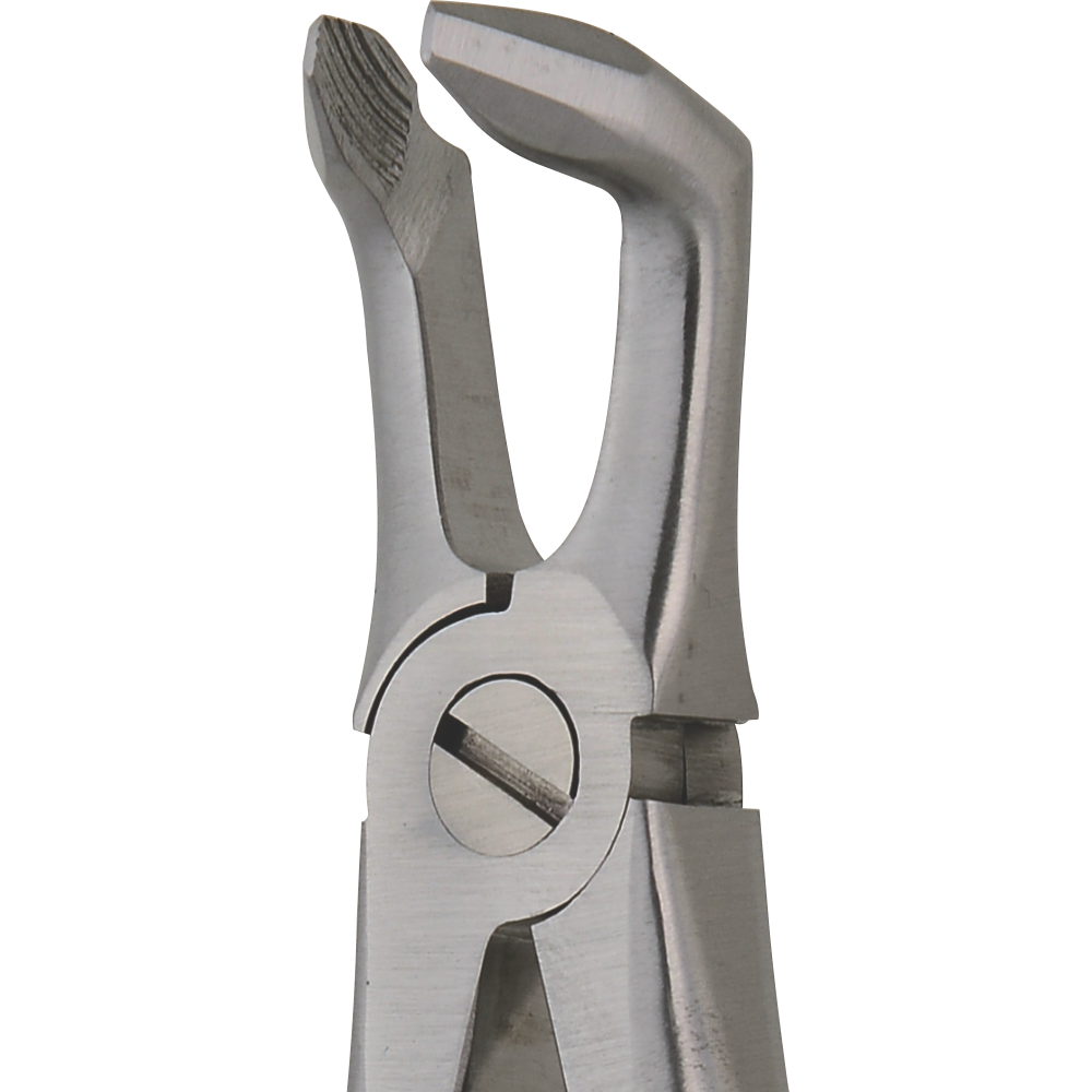 L1-036 Apex Forceps Lower Universal Deep Root Pick #9 - Image 1