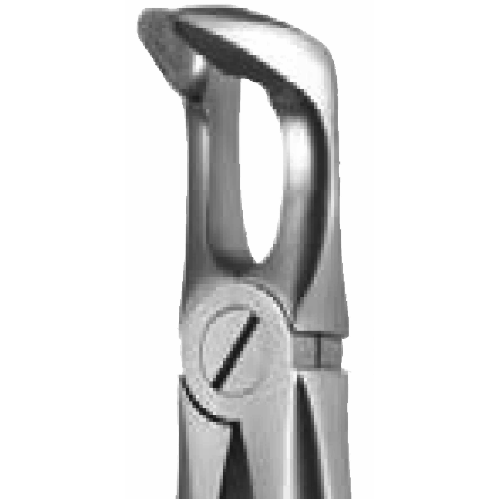 L1-038 Lower Third Molars #79 - Image 1