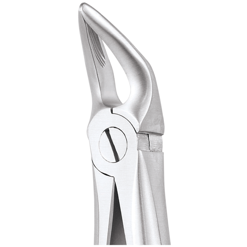 L1-039 31 Lower Roots - Image 1