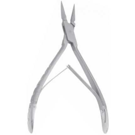 Root Fragment Str Fig. 596