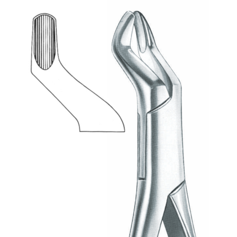 L1-102 upper molars Fig. 10 H - Image 1