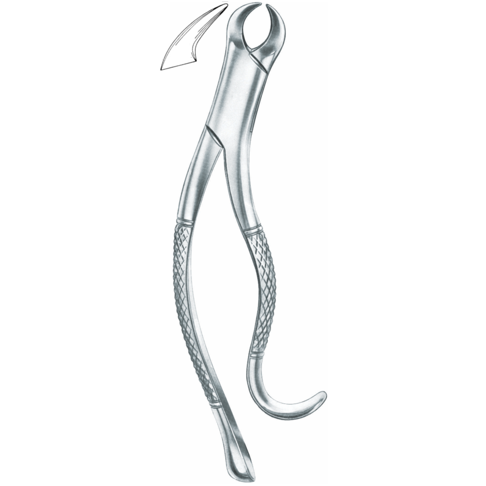 L1-104 lower molars Fig. 16 - Image 1