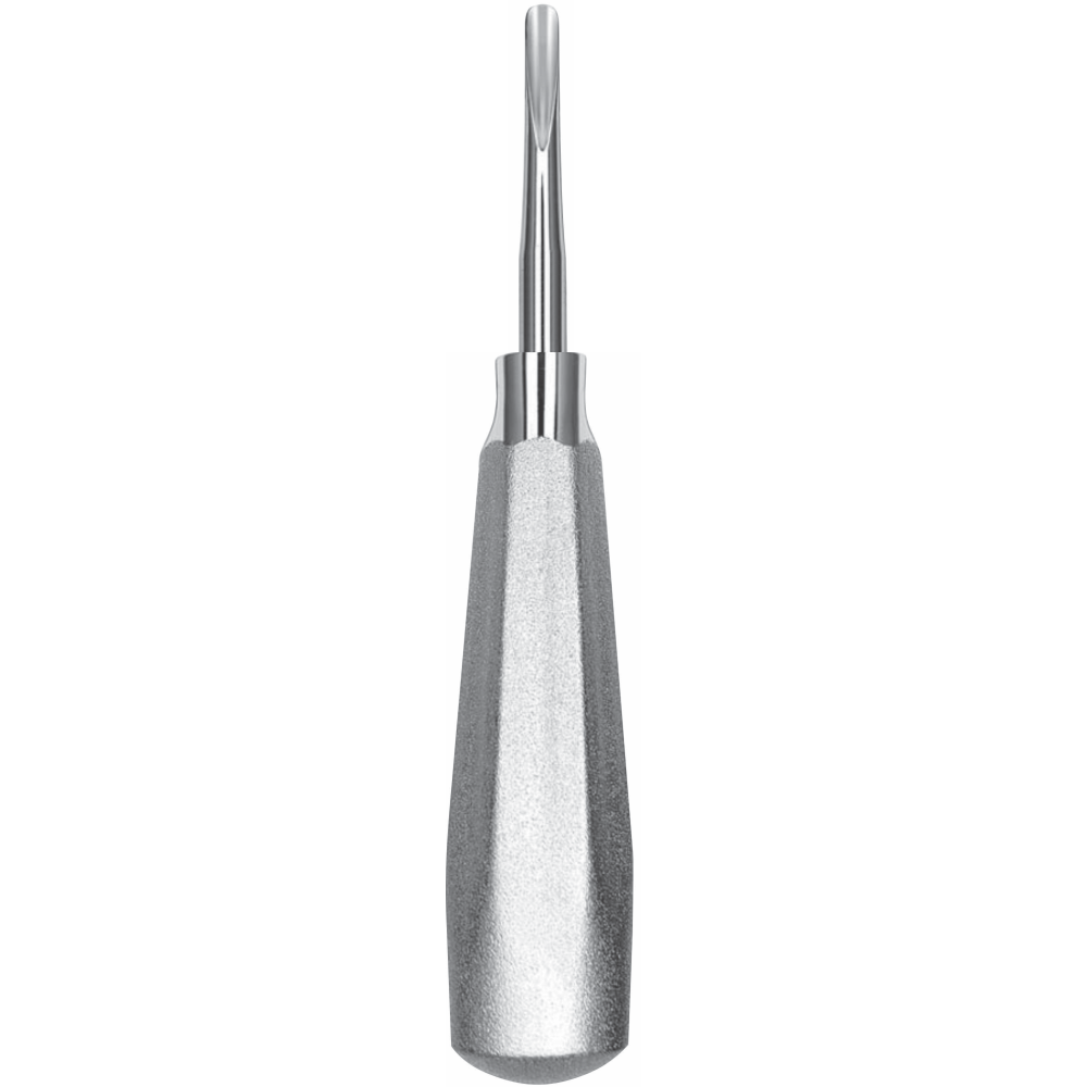 L2-021 2 Heidbrink Straight Upper and lower anterior teeth and roots - Image 1