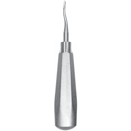 46R Upper posterior roots