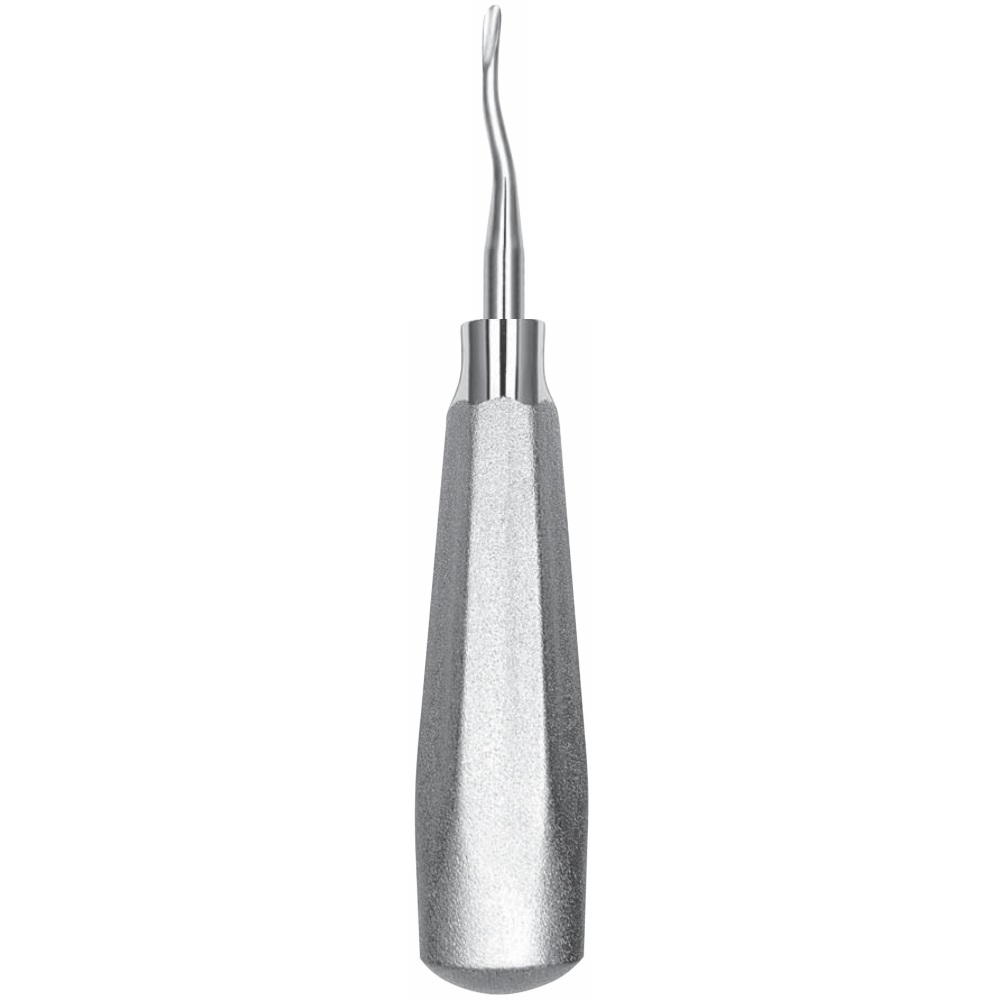 L2-077 46R Upper posterior roots - Image 1