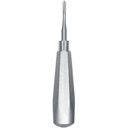 34 Upper and lower anterior roots