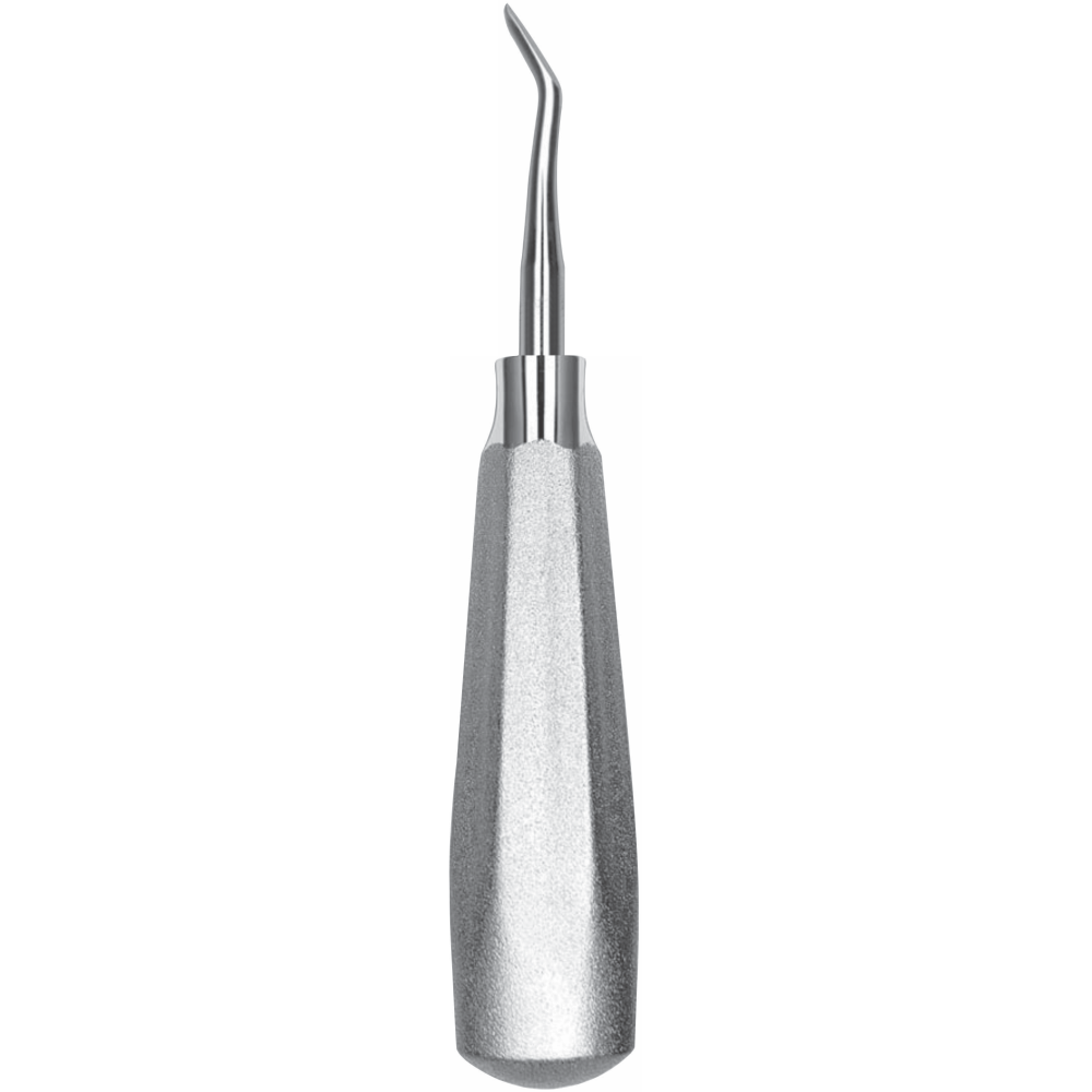 L2-124 Upper and Lower 3rd Molars - Image 1