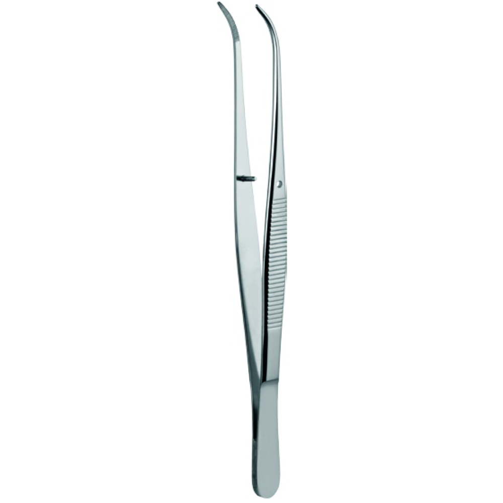 L3-036 Sekmen Taylor Cvd. - Image 1